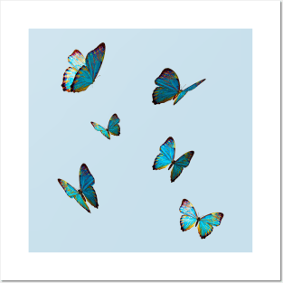 butterflies blue Posters and Art